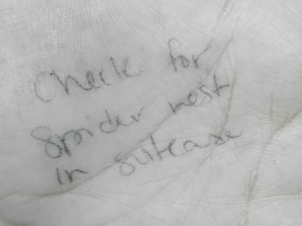 12544312_785098845290_1776454540_o